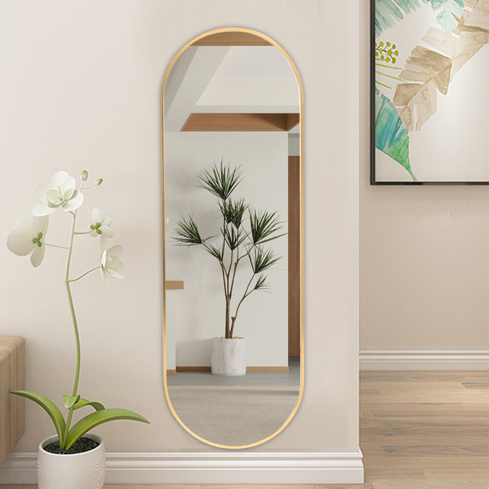 (50x150cm, Gold) Modern Oval Metal Frame Full Length Wall Mirror