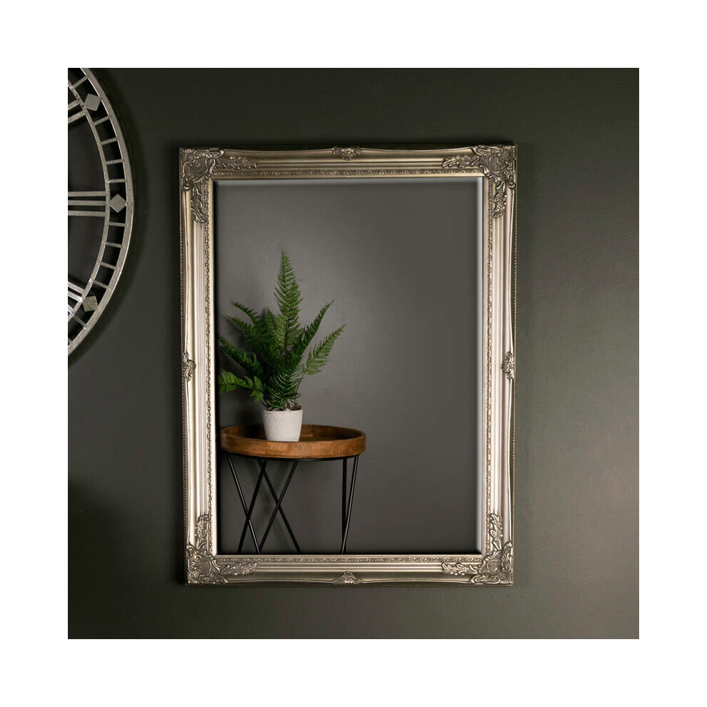 Large Ornate Champagne Gold Wall Mirror 82cm x 62cm